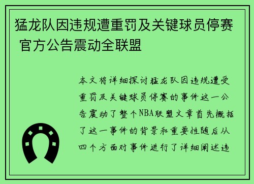 猛龙队因违规遭重罚及关键球员停赛 官方公告震动全联盟